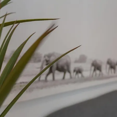 Charming Principe Real Perfect For Families