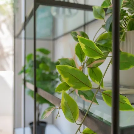 Charming Principe Real Perfect For Families *